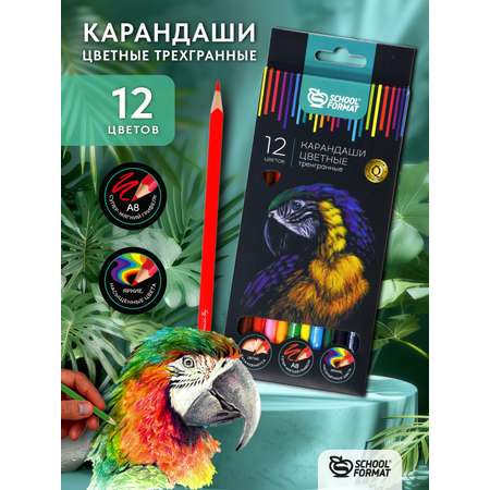 Карандаши цветные SCHOOLFORMAT 12 шт.