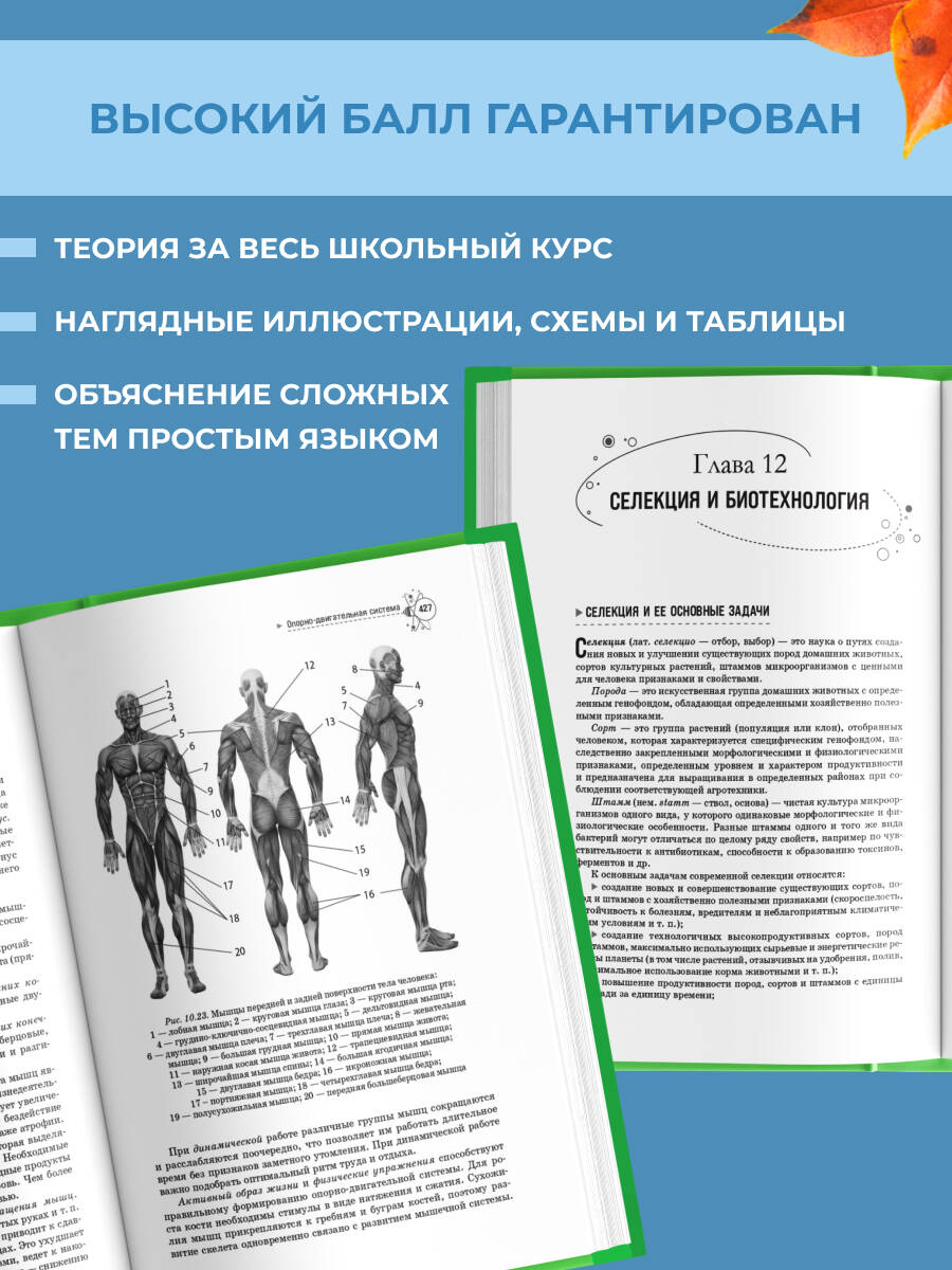 Книга Эксмо Биология. Справочник для подготовки к ЕГЭ, олимпиадам и поступлению в вуз - фото 2