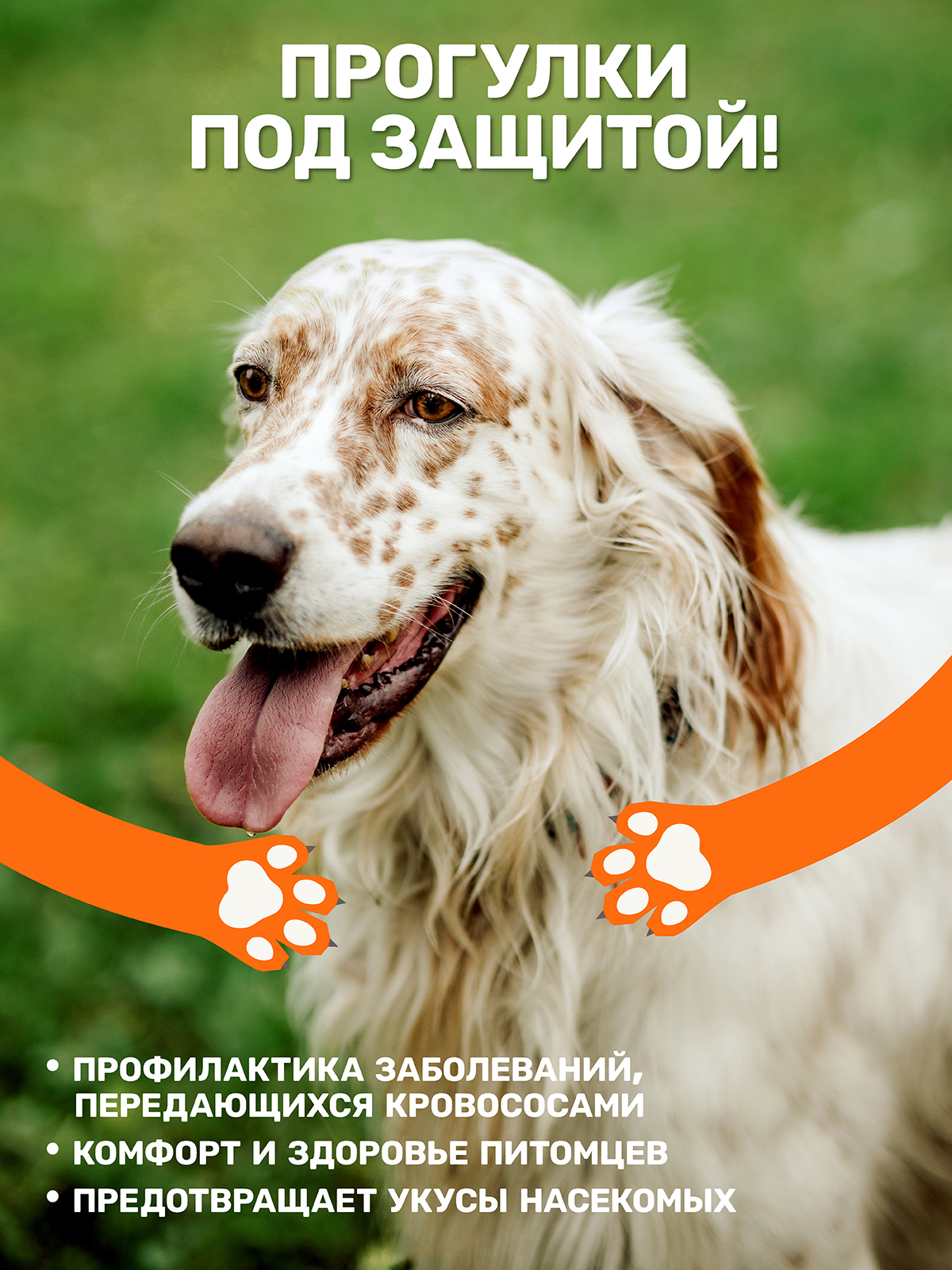 Набор для собак и кошек ZOORIK репеллентный антипаразит 250+250 мл - фото 2