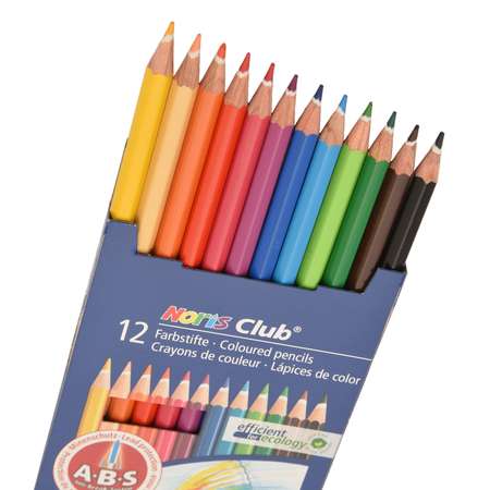 Карандаши цветные Staedtler 12 шт.