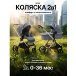 Коляска 2в1 agex Life 2026 серый