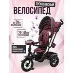 Трехколесный велосипед ZigZag 12 дюймов