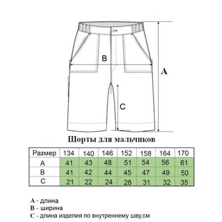 Шорты MOR