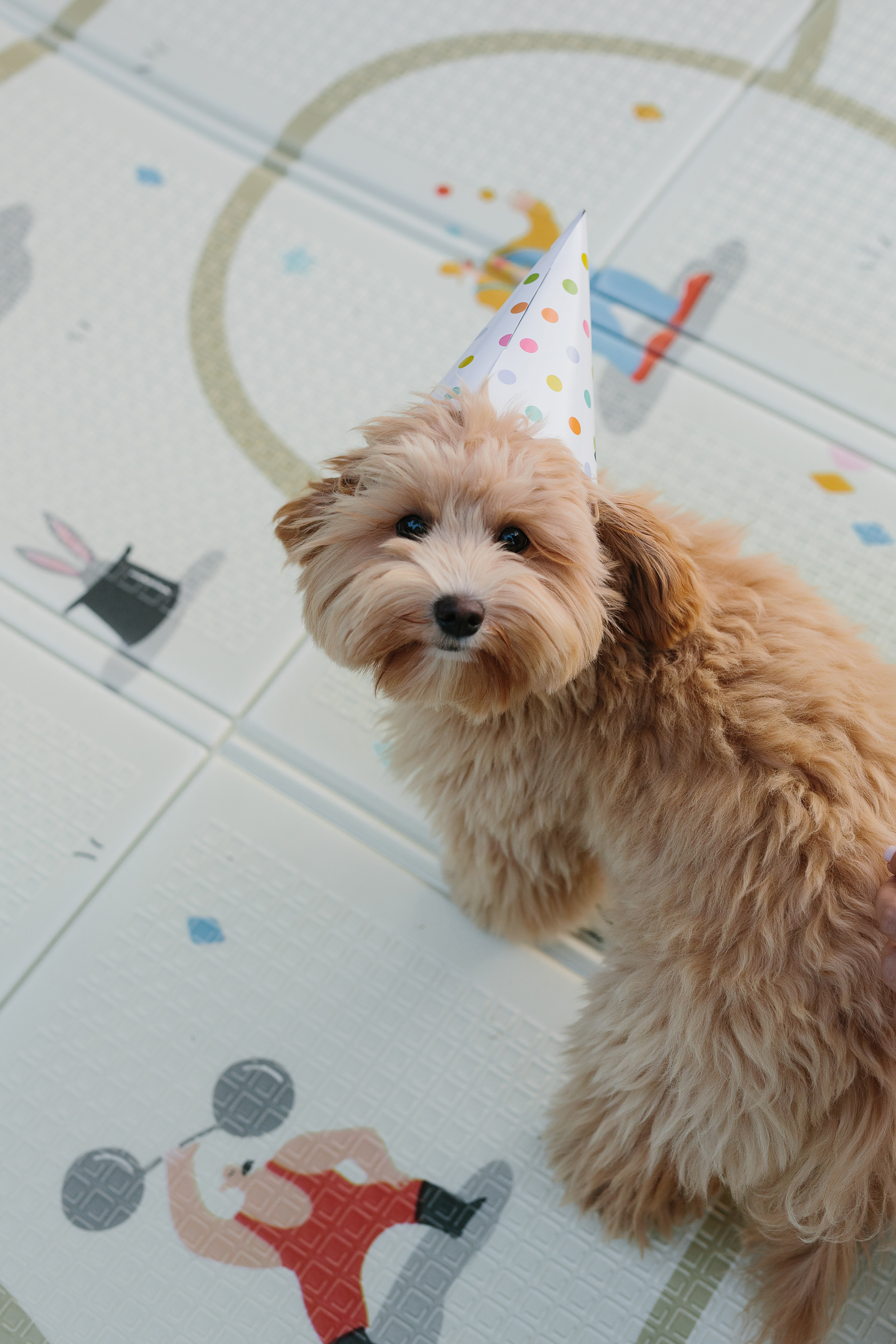 Детский складной коврик Parklon Цирк 140 x 200 см - фото 10