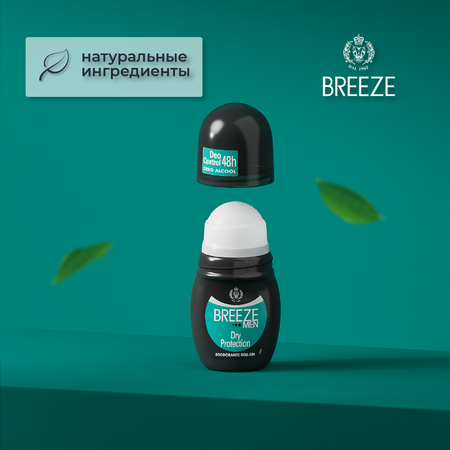 Дезодорант роликовый BREEZE для тела dry protection 50мл