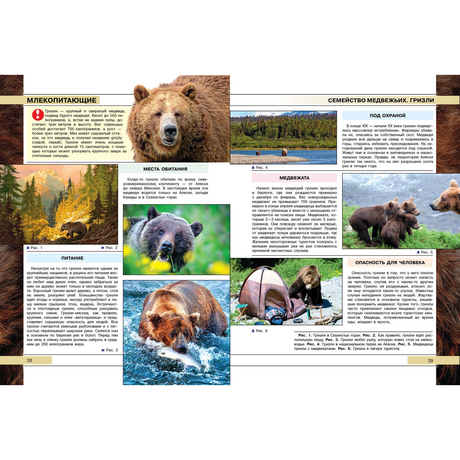 Книга Харвест Самые опасные и агрессивные животные - фото 9