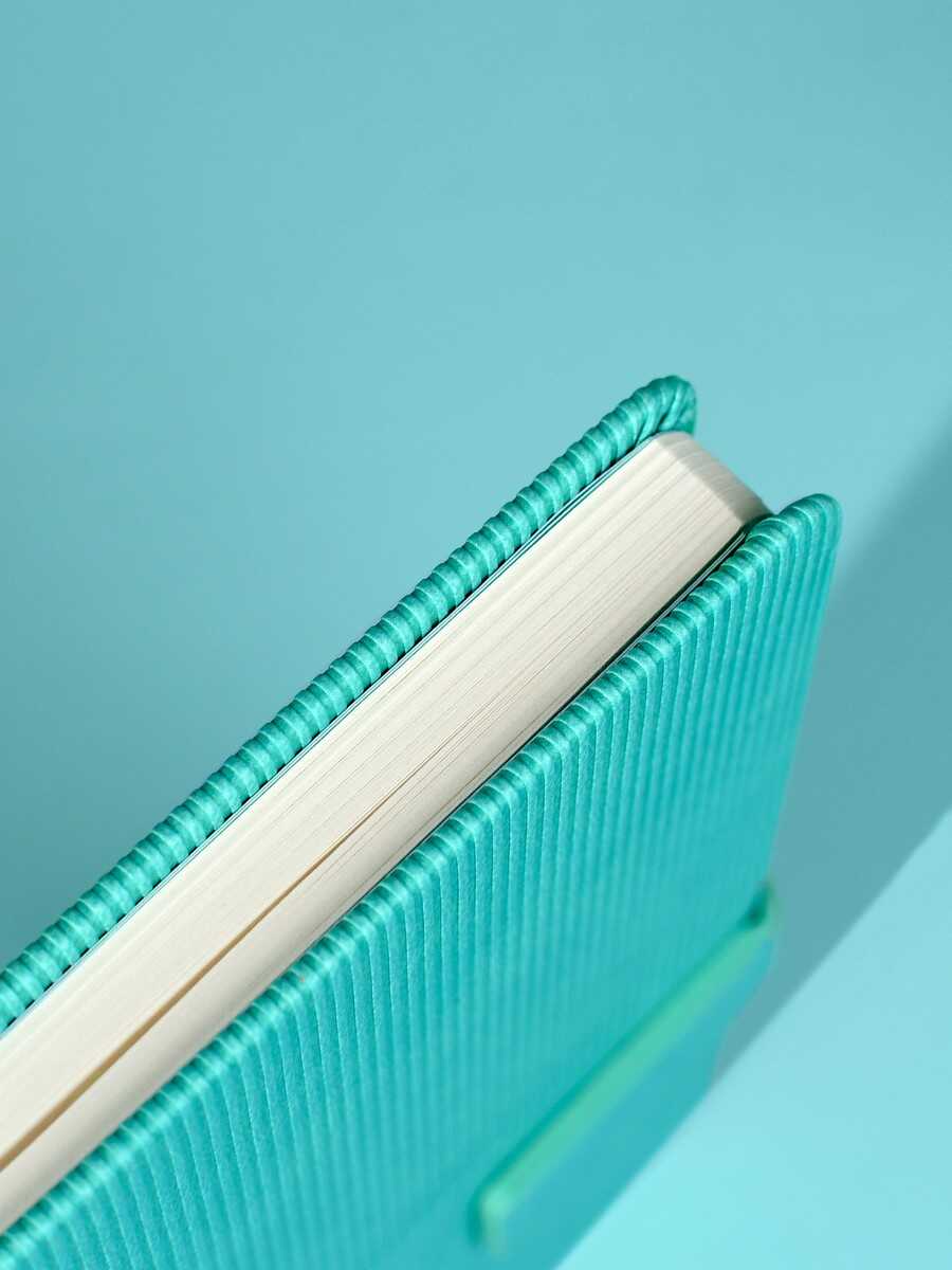 Ежедневник Феникс + ESCALADA 120 лист. - фото 6