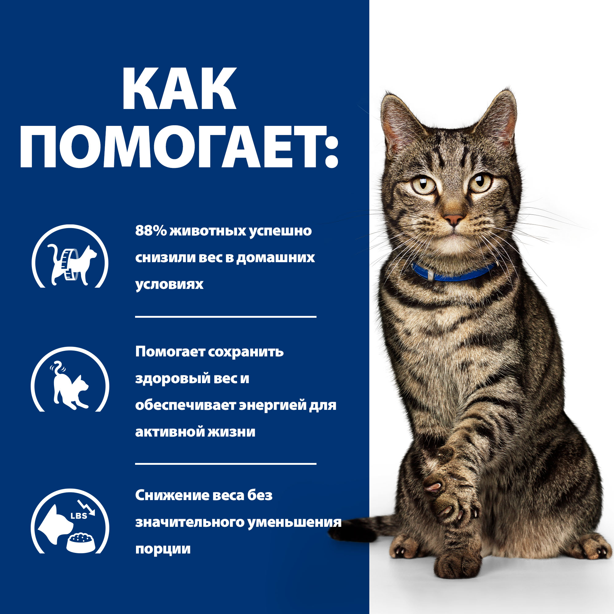Корм для кошек Hills 85г рыба Prescription Diet Metabolic способствует снижению и контролю веса пауч - фото 5