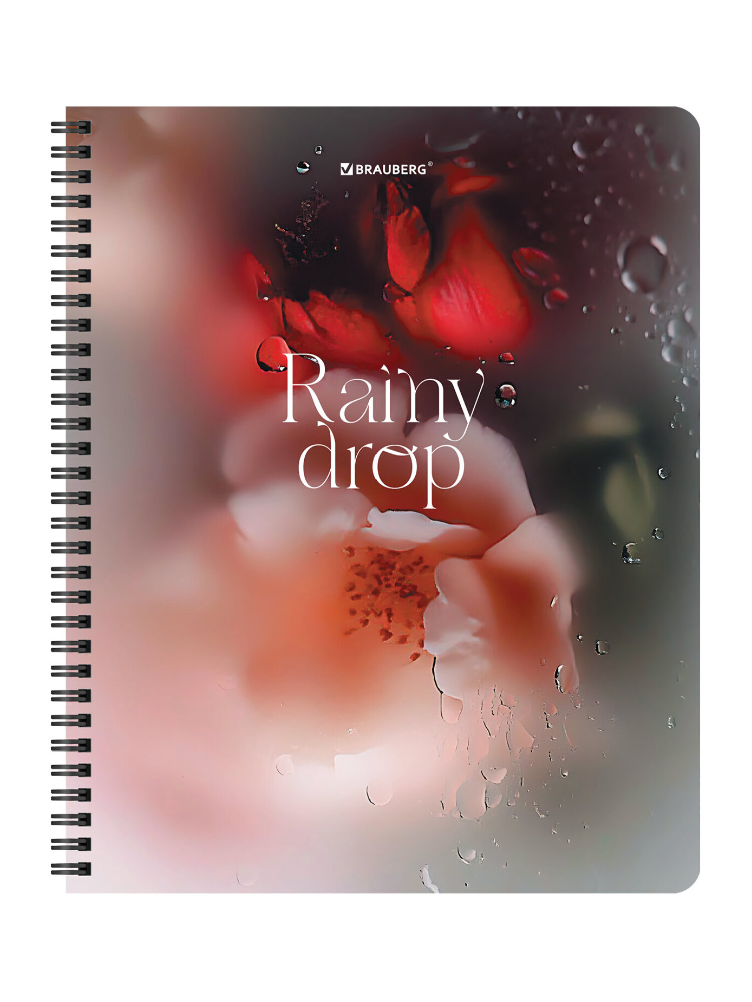 Тетрадь Brauberg клетка 48 лист. 4 шт. - фото 11