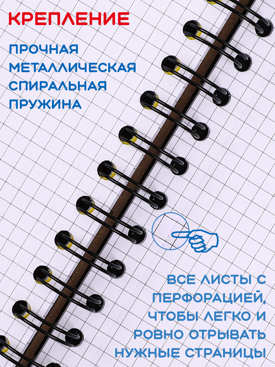 Общая тетрадь KEYROAD клетка 120 лист. - фото 3