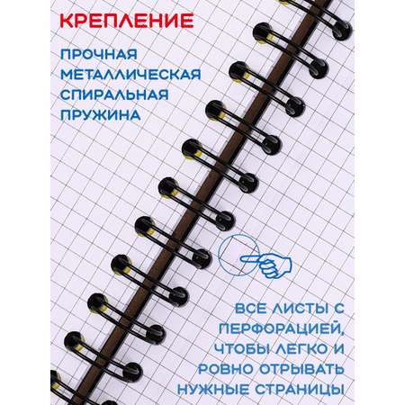 Общая тетрадь KEYROAD клетка 120 лист.