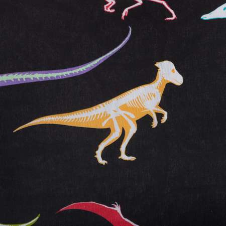 Комплект постельного белья Этель Dino skeleton полутороспальный 3 предмета
