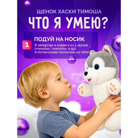 Мягкая игрушка SHARKTOYS собачка Тимоша