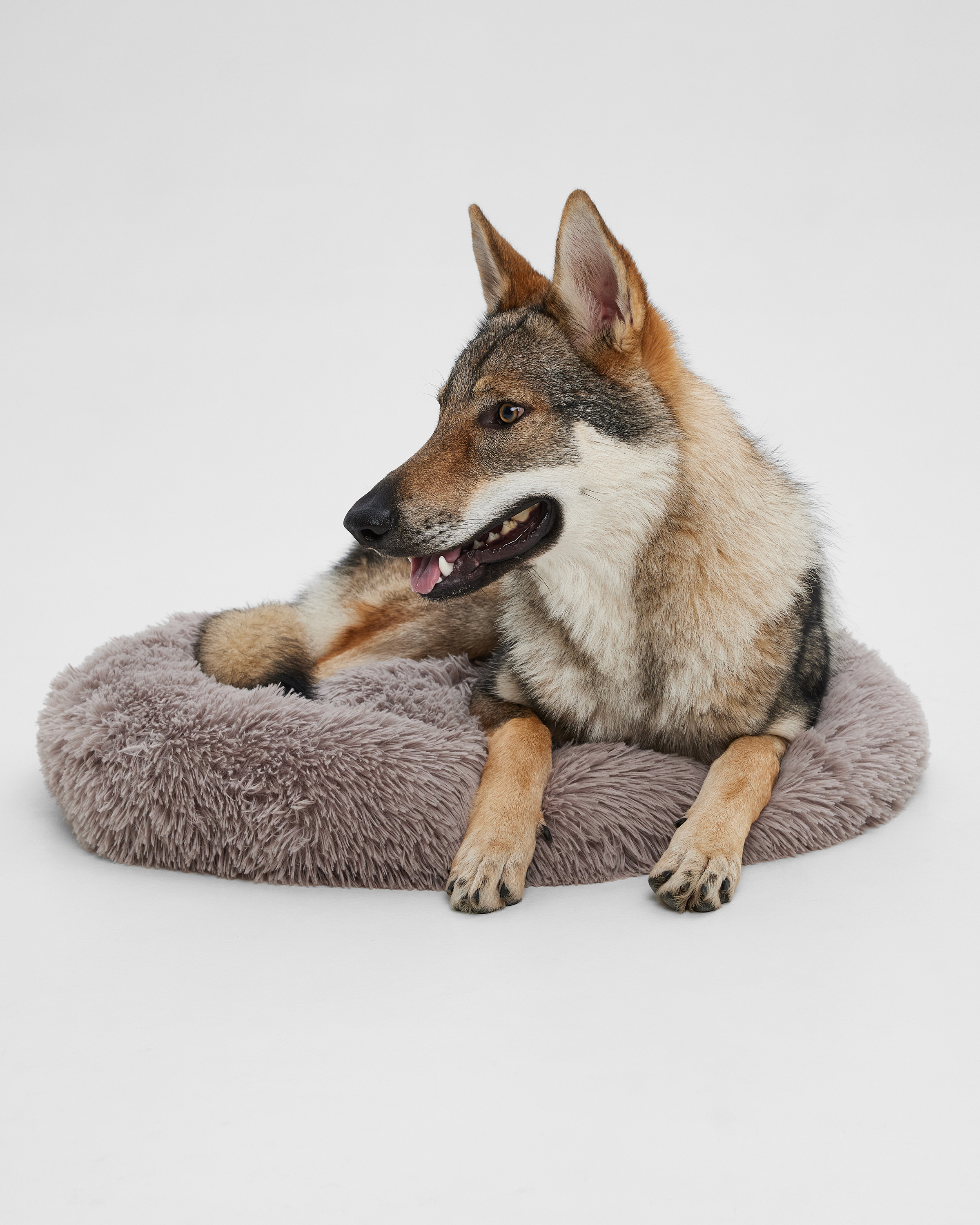 Лежанка для собак Barbaks Пушистая лежанка 65*18см - фото 1