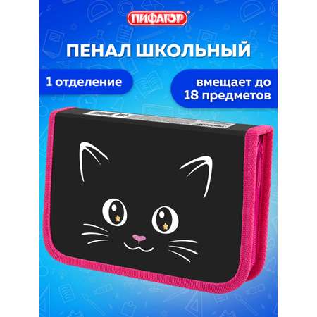 Пенал Пифагор