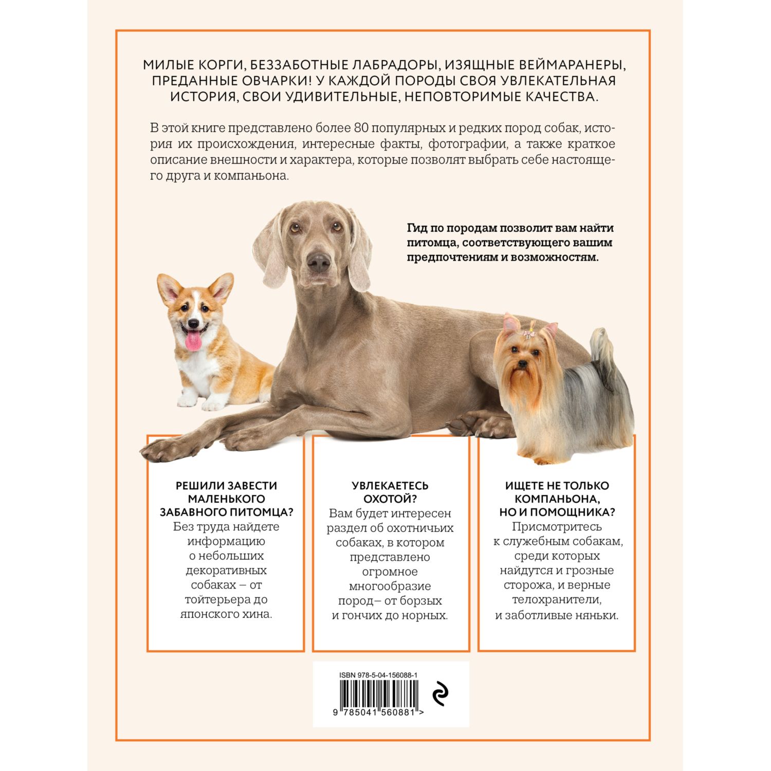 Книга ЭКСМО-ПРЕСС Собаки Иллюстрированный гид по самым популярным породам - фото 2