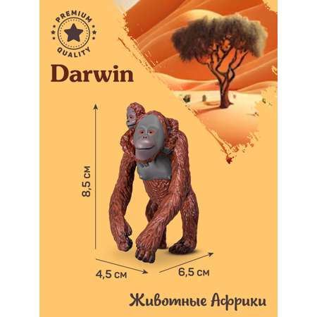 Фигурка DARWIN Животные Африки Орангутан