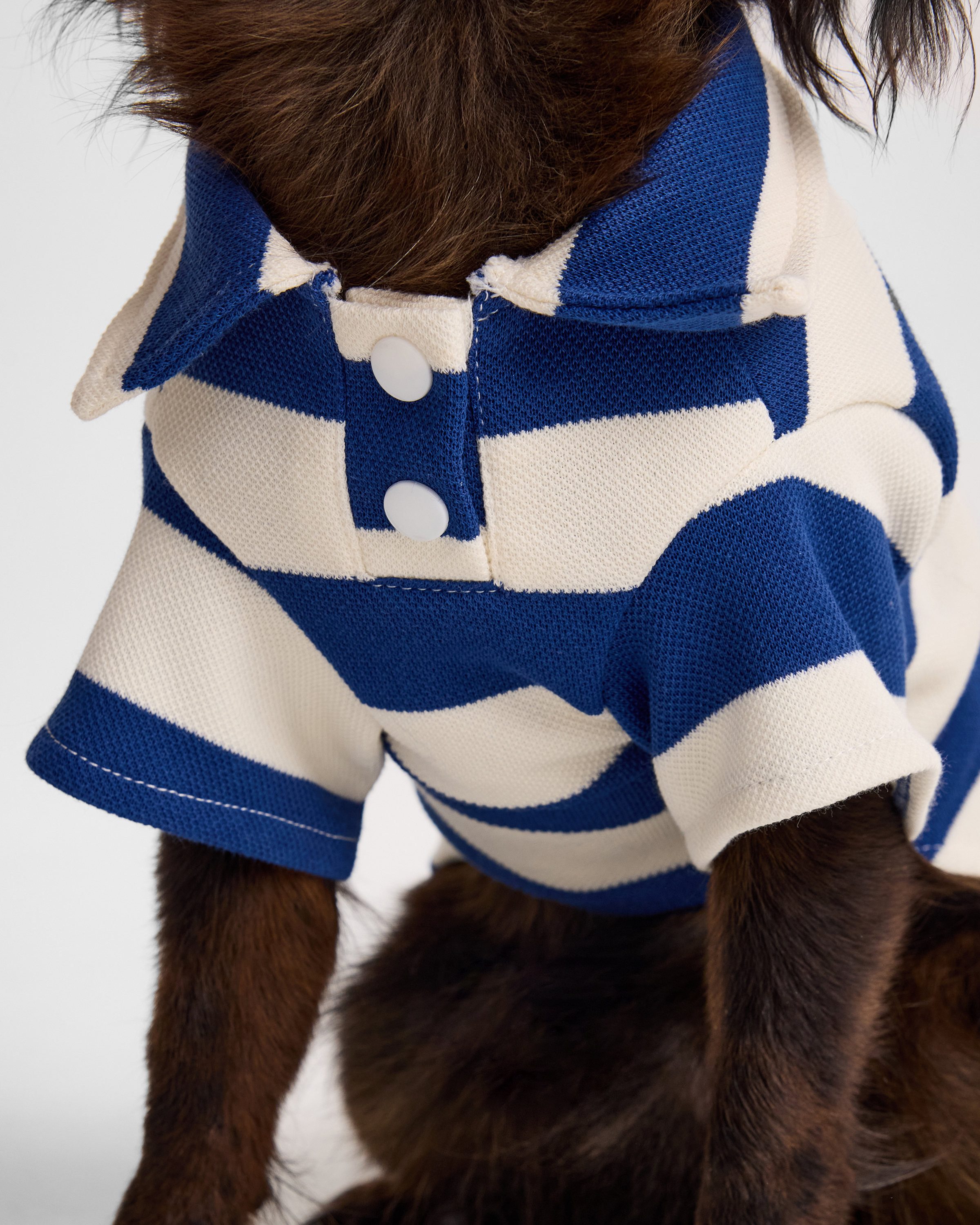 Поло для собак и кошек Зоозавр - фото 5