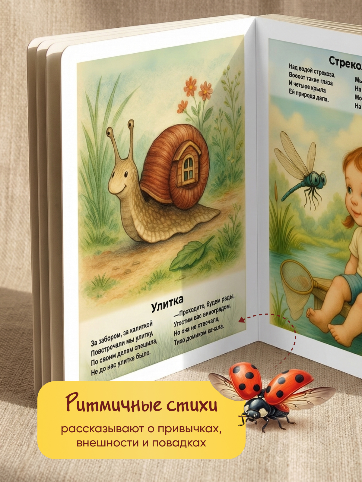 Картонная книга для малышей Расту по возрасту «Букашки» 0+ - фото 4