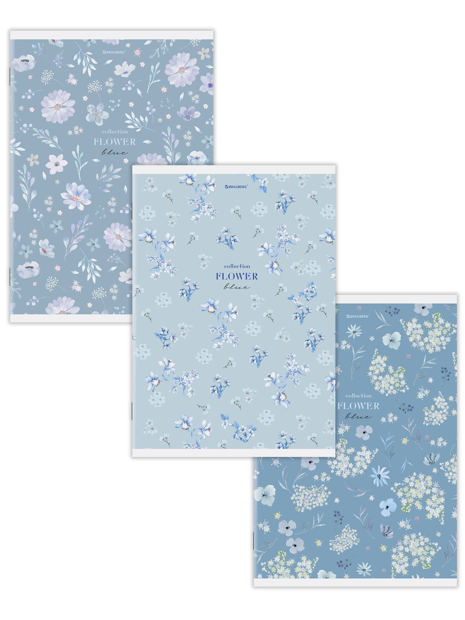 Общая тетрадь Brauberg клетка 96 лист. 3 шт. - фото 5