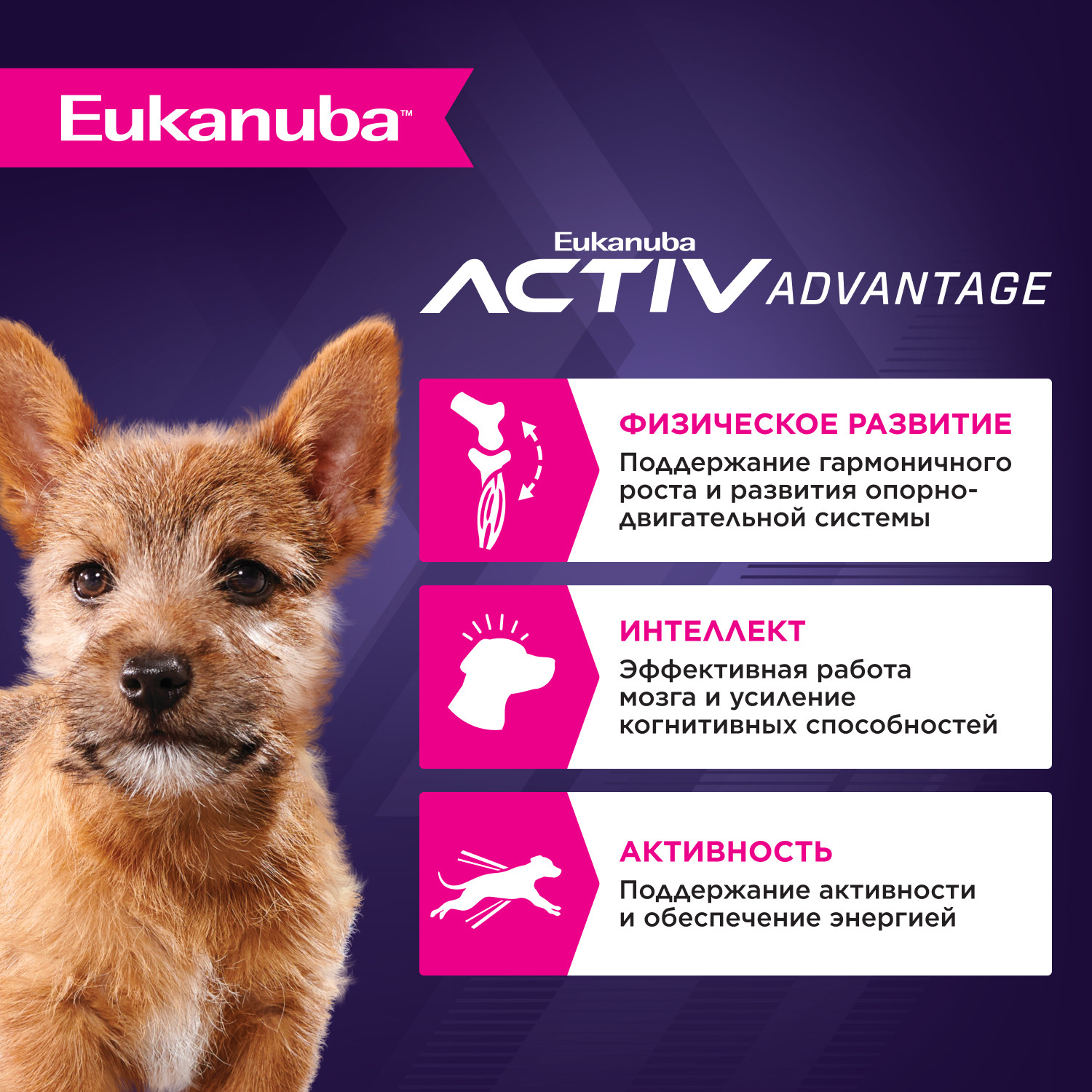 Корм для собак Eukanuba 800г Паппи Смол Брид 12м - фото 2