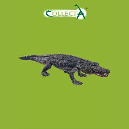 Фигурка Collecta Американский аллигатор