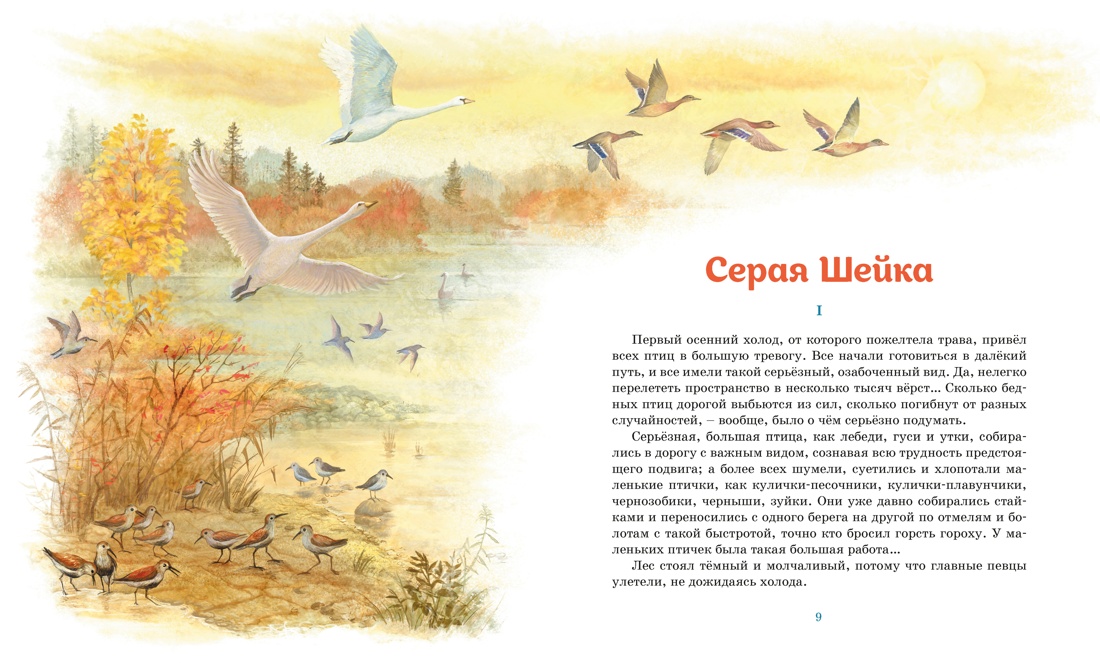 Книга Махаон Серая шейка - фото 5