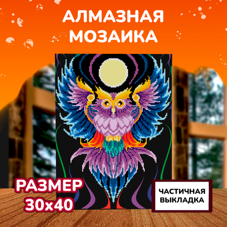 Алмазная мозаика LORI(колорит) Сова