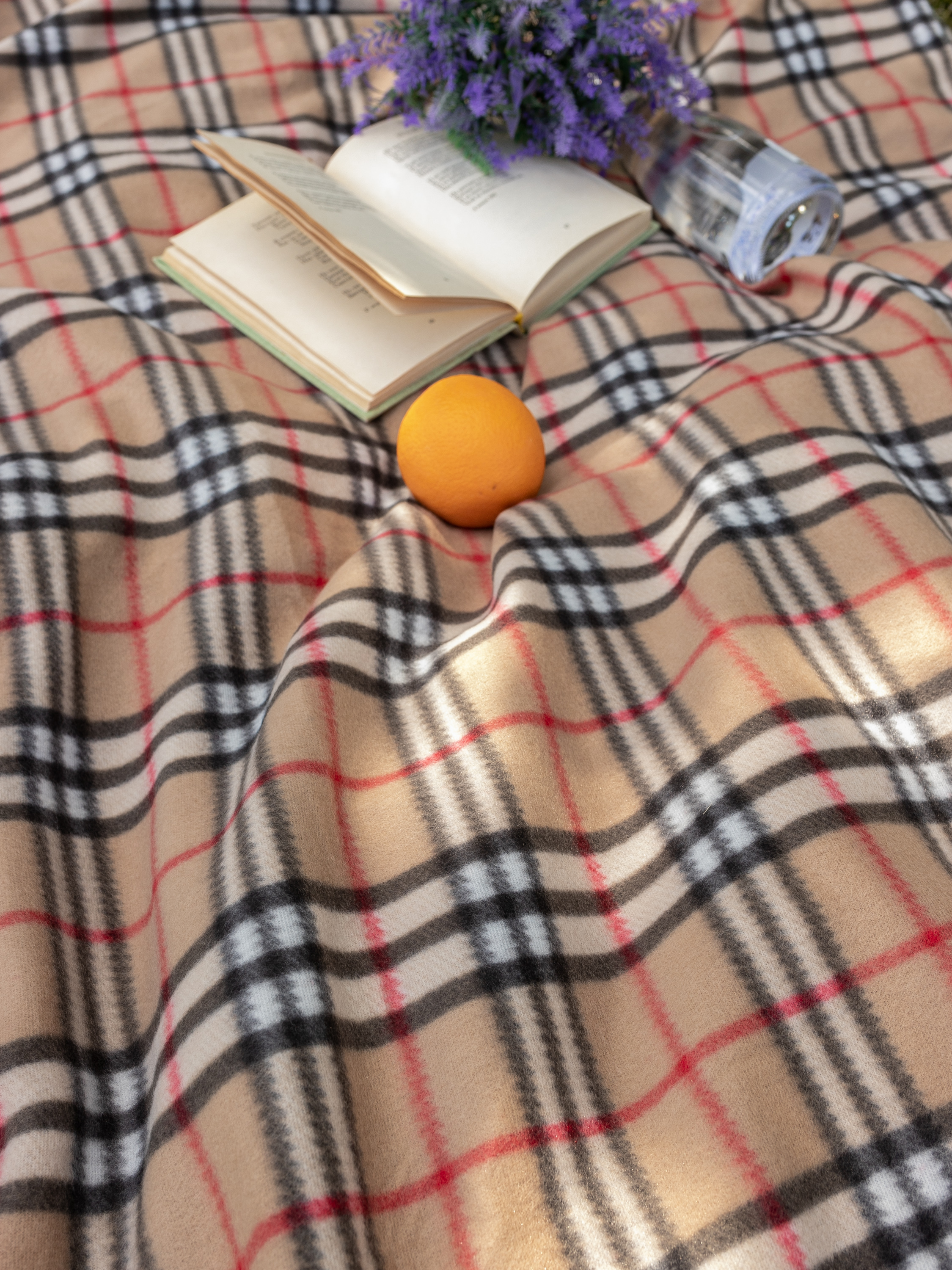 Плед Wellness WPT152-Парма_23 150 x 200 см флис - фото 4