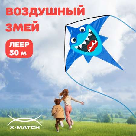 Воздушный змей X-Match для детей большой 133х136 см