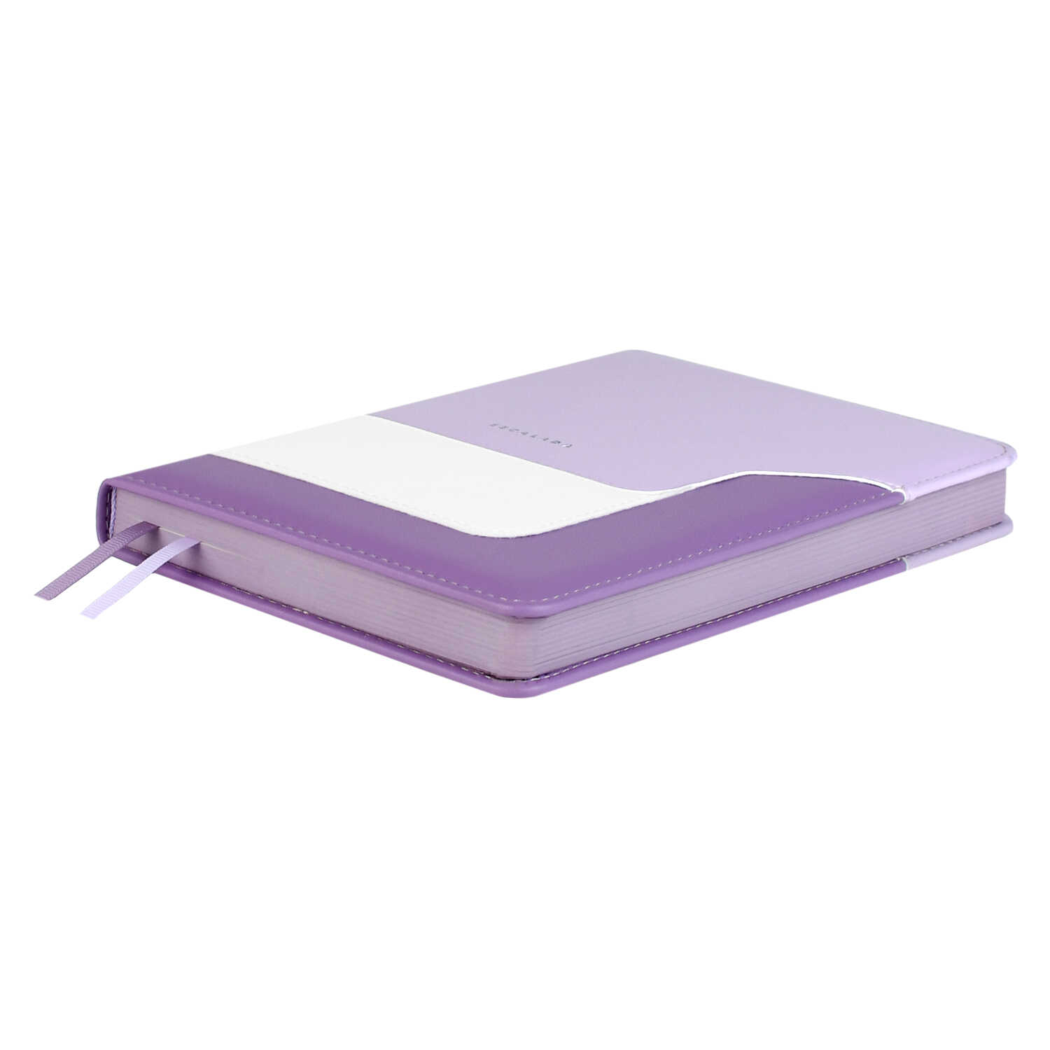 Ежедневник Феникс + ESCALADA 160 лист. - фото 2