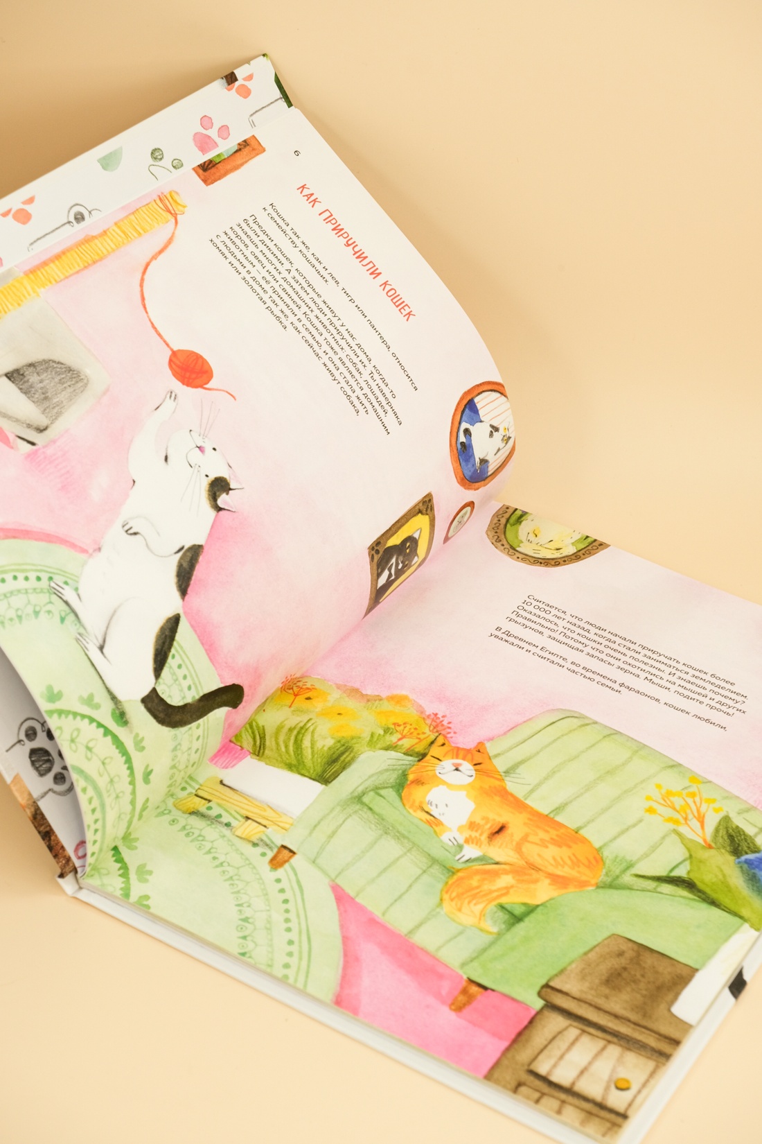 Книга Махаон Энц. Бурсе К. Невероятные коты. Всё, что нужно знать о любимых питомцах - фото 7