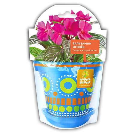 Набор для выращивания Happy Plant