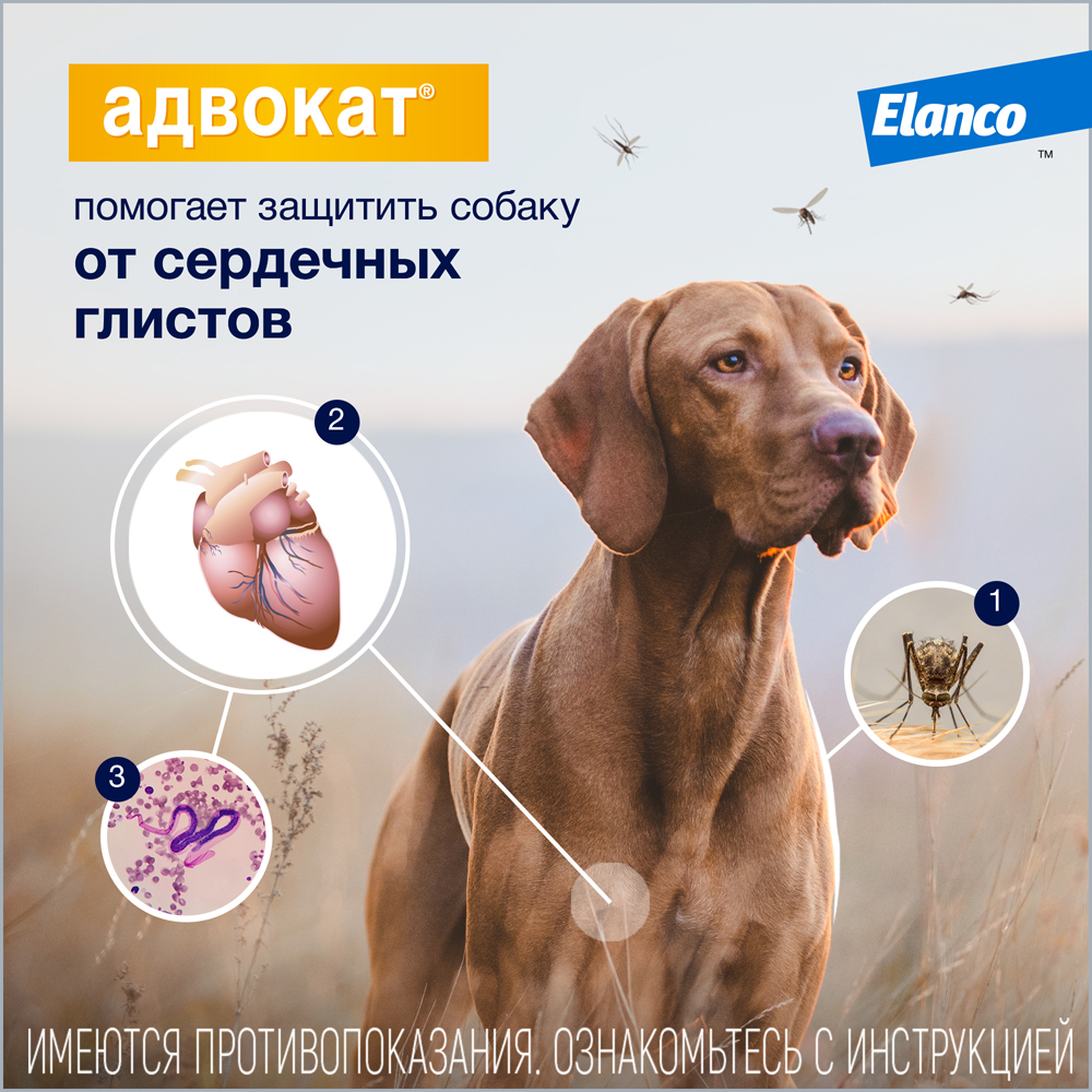 Капли для собак Elanco Адвокат более 25кг антипаразитарные 1пипетка - фото 6