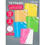 Тетрадь Prof-Press клетка 12 лист. 10 шт.