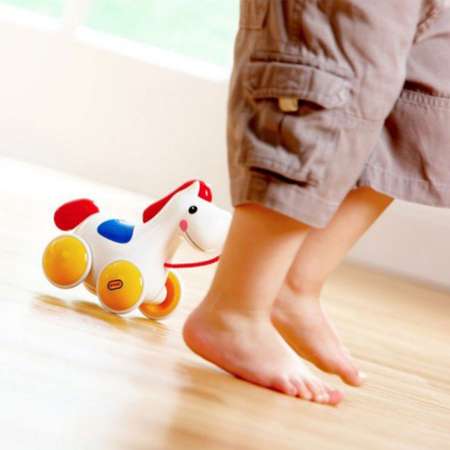 Игрушка SHARKTOYS каталка