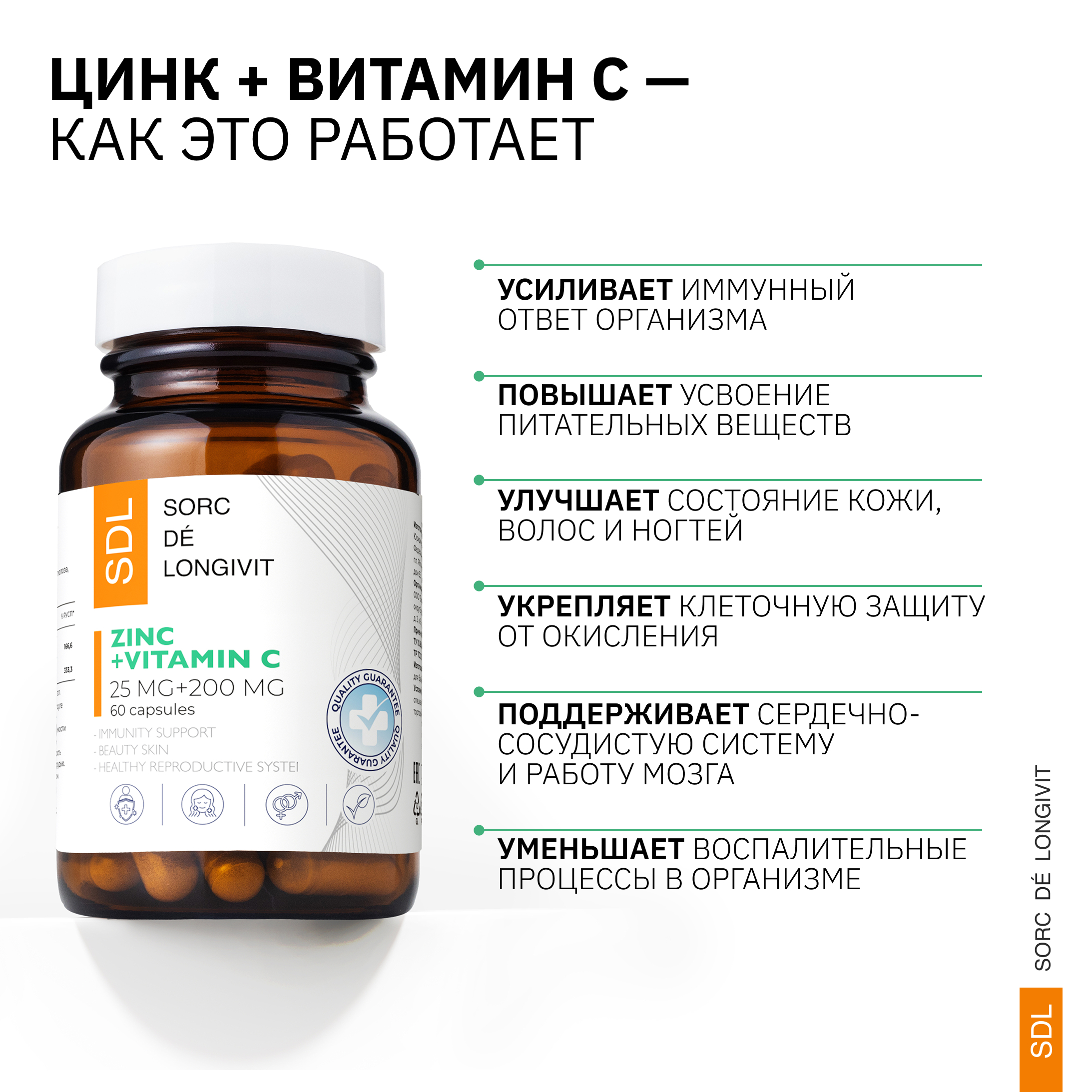 Цинк+С SDL 0.144гр. - фото 2