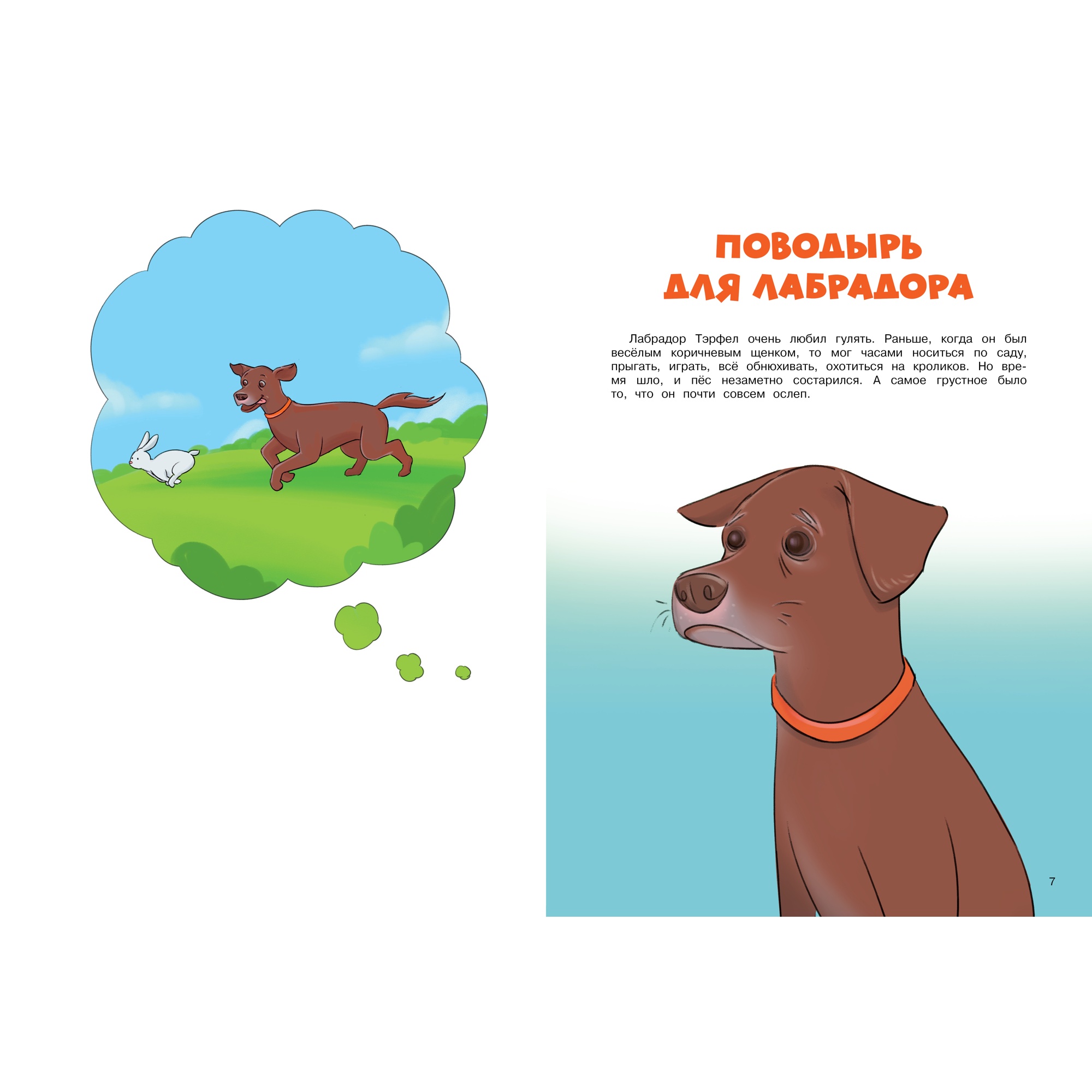 Книга МАХАОН Невероятные истории об удивительных животных Хоуден С. - фото 3