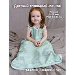Спальный мешок Lemur Studio Легкий