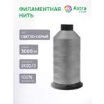 Филаментная нить Astra Craft 210D/3 3000 м 1 шт 6144/367 светло - серый