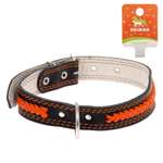 Ошейник Пижон кожаный двухслойный Коса 72х3.6 см ОШ 45-60 см микс