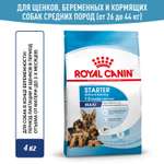 Корм для щенков ROYAL CANIN Starter крупных пород 4кг