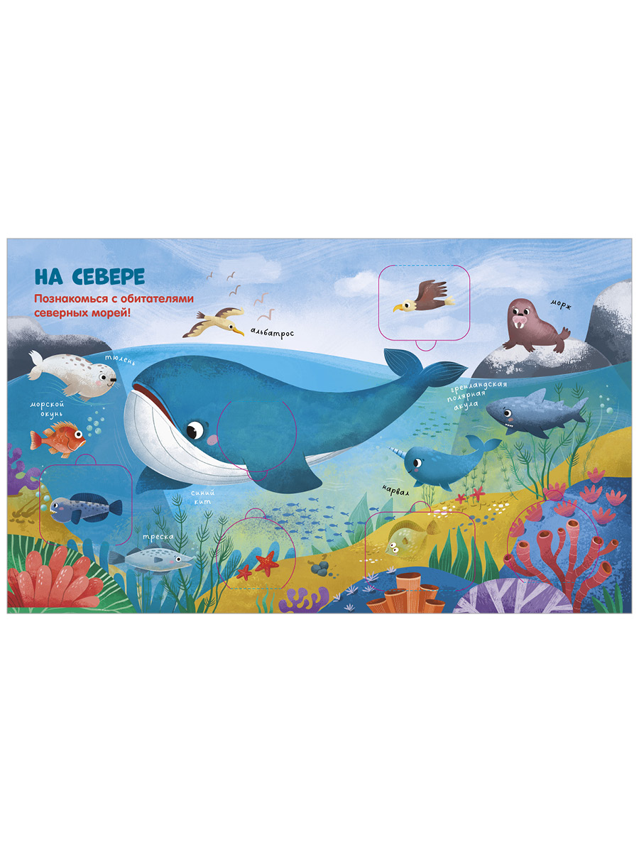 Книга Clever Океаны и моря - фото 3