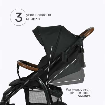 Коляска прогулочная Tomix Stella Lux