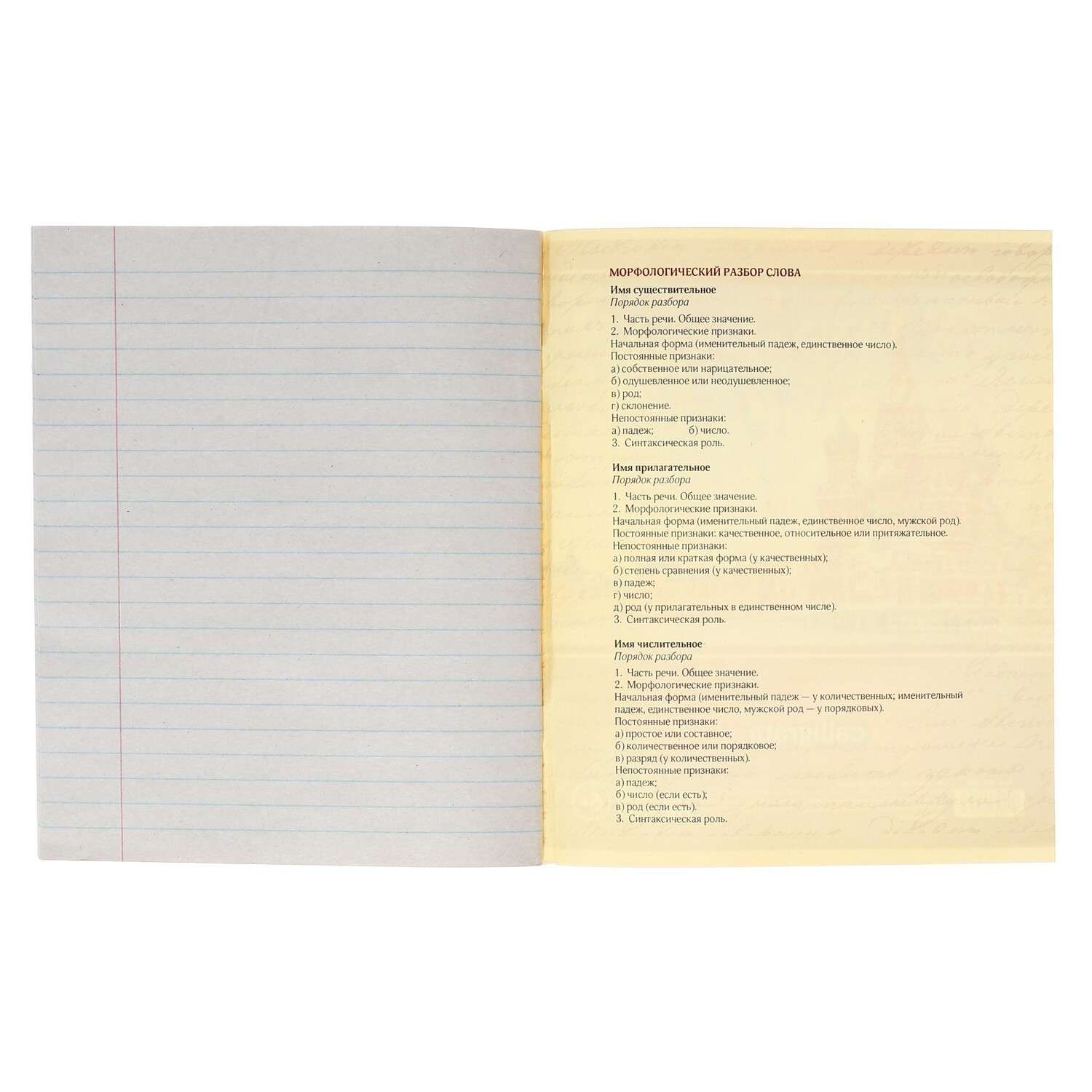 Тетрадь Calligrata 48 лист. 1 шт. (Русский язык) - фото 3