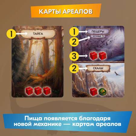 Настольная игра Правильные Игры Эволюция Новый мир