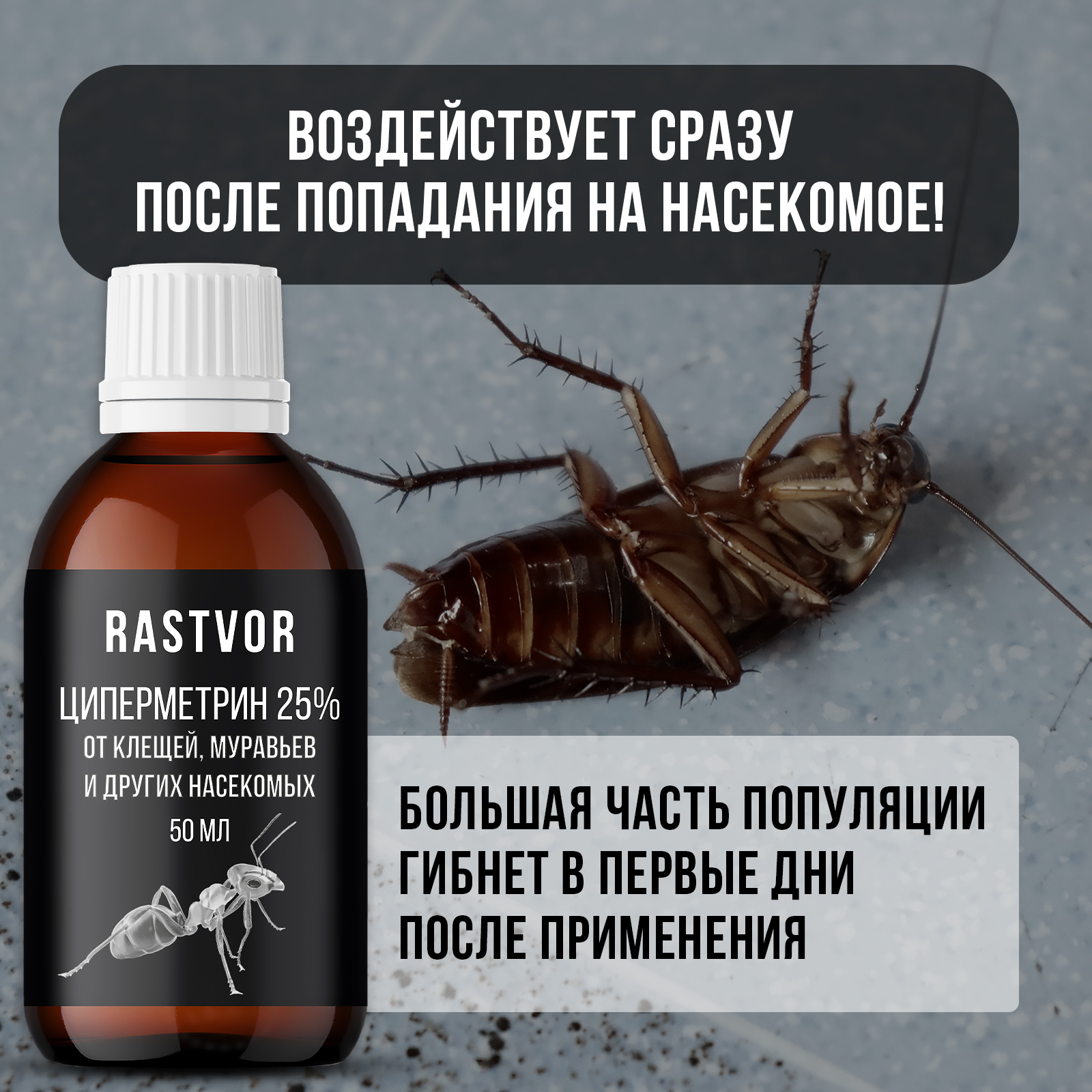 Циперметрин 25% отрава RASTVOR от комаров, мух, клещей и муравьев - фото 3