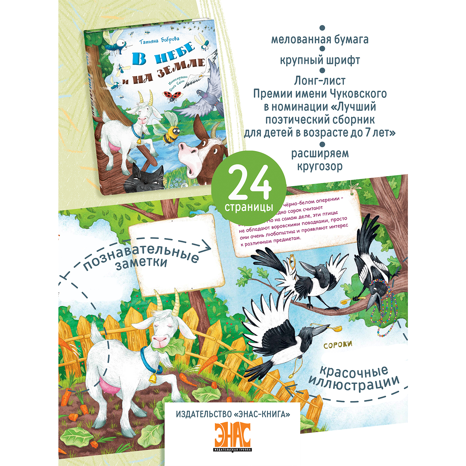 Книга ЭНАС-книга В небе и на земле - фото 2