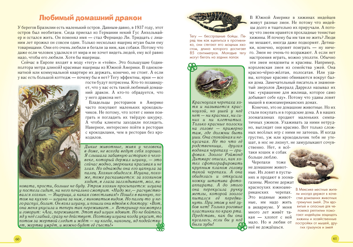 Книга Белый город Домашние животные - фото 10