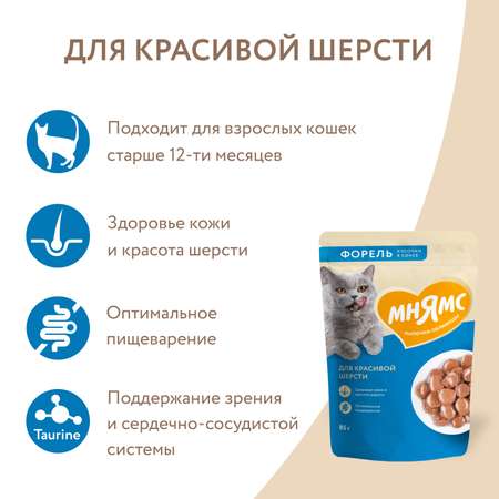 Корм для кошек Мнямс 85г с форелью для красивой шерсти кусочки в соусе пауч
